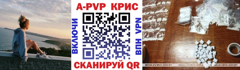 Alfa_PVP СК Няндома